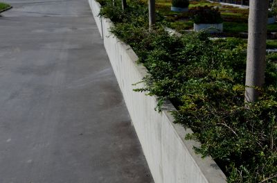 Concrete Edging Replacement in Citrus County, FL