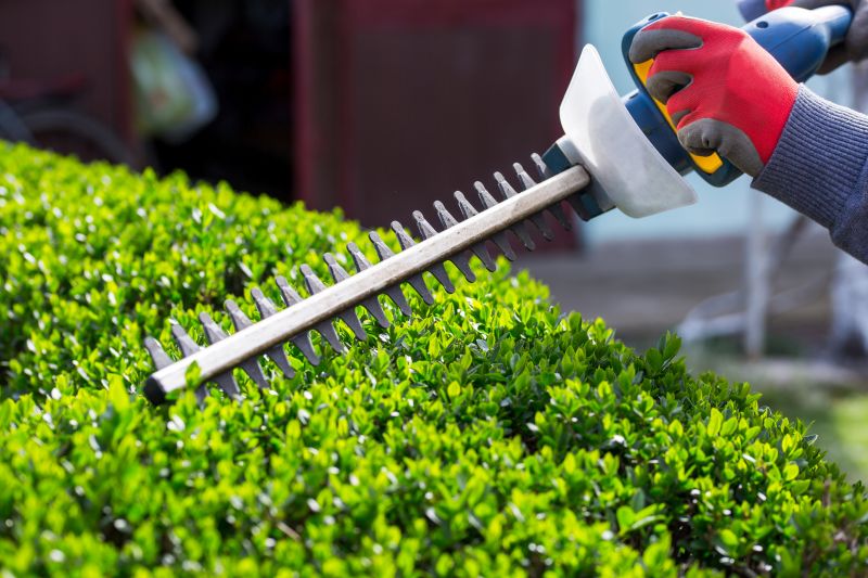 Hedge Replacement in Honolulu, HI