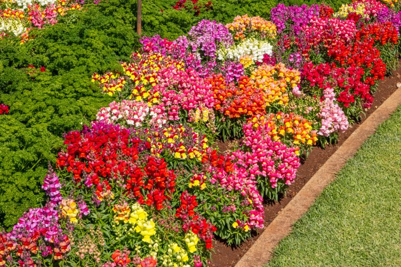 Lawn Border Installation in Honolulu, HI