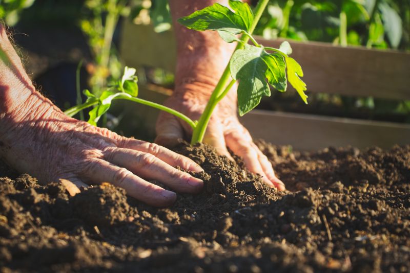 Planting Service in Ventura County, CA