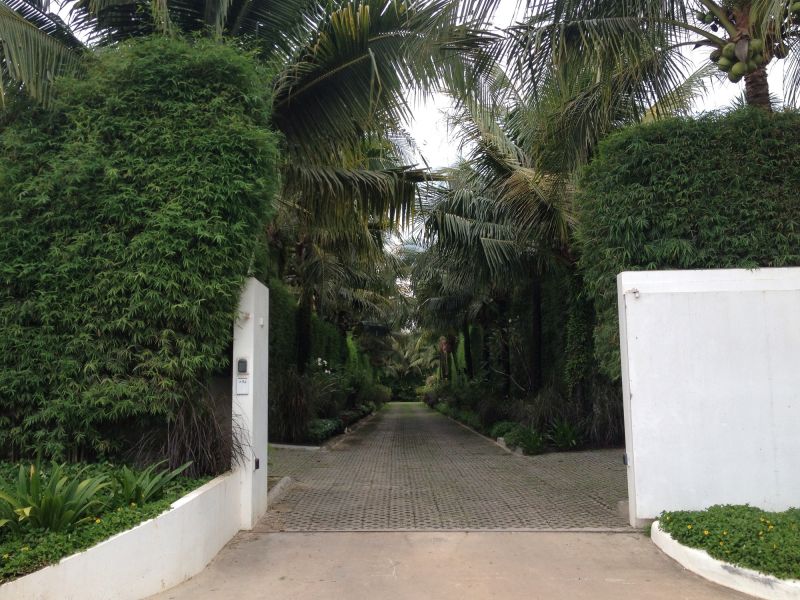 Privacy Hedge Planting in Ventura County, CA