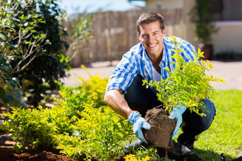 Privacy Shrub Installation in Honolulu, HI