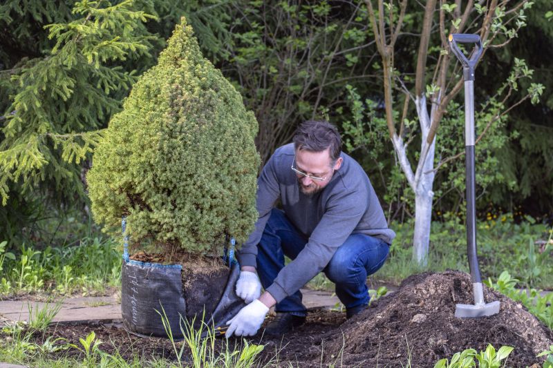 Tree Landscaping in Ventura County, CA