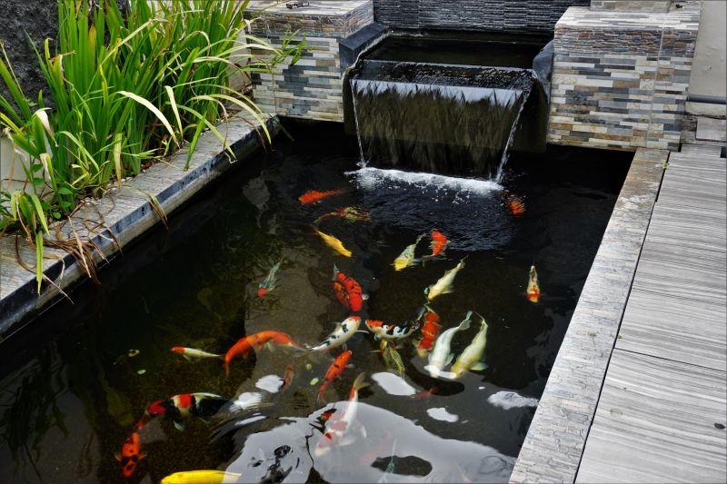 Luxury Koi Pond