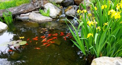 Improve the Appearance of Your Property with a Water Feature Installation!